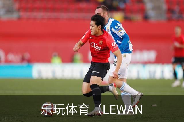 乐玩体育（LEWAN公司介绍展示图